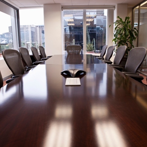 Board of directors serco aps